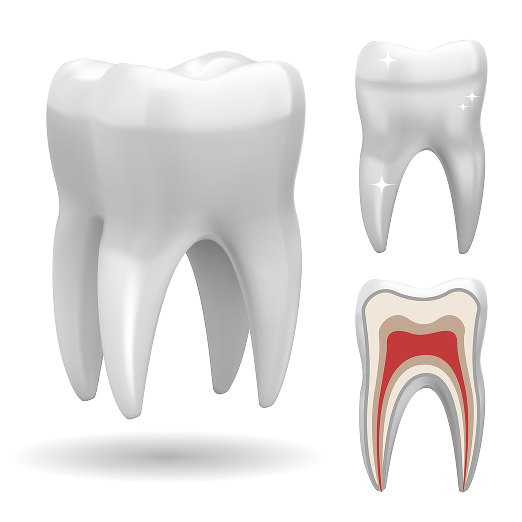 What Are Dental Checkups & Cleanings?
